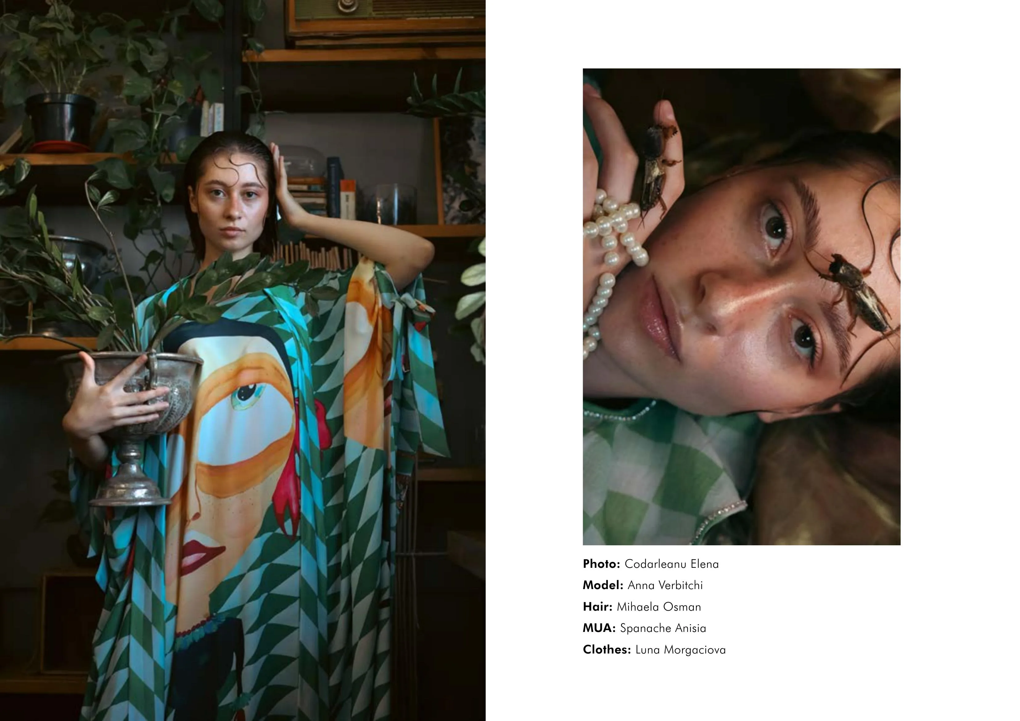 Mystic Jungle — Final Shots